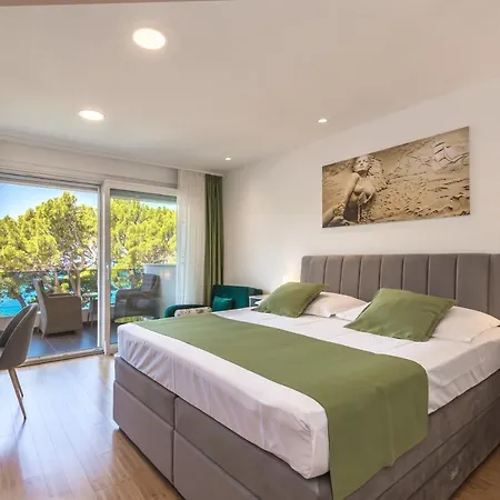 Villa Private Seaside Morska With Pool In Baska Voda, Dalmatia, Croatia Baska Voda