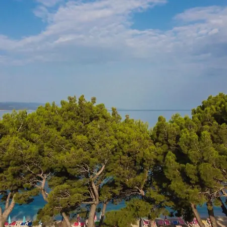 Villa Private Seaside Morska With Pool In Baska Voda, Dalmatia, Croatia *