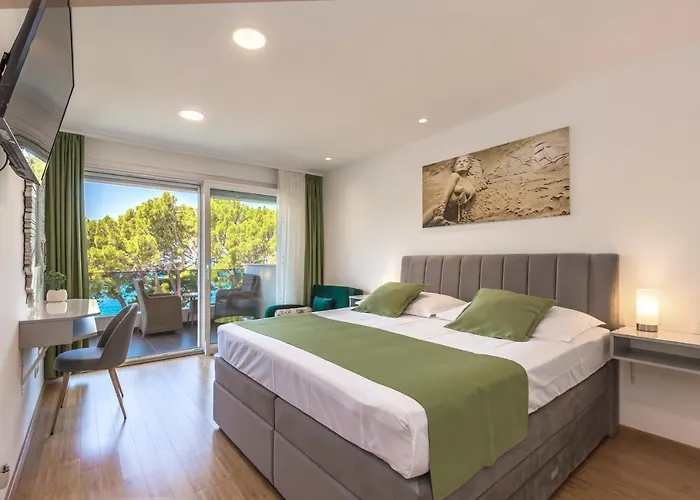 Villa Private Seaside Morska With Pool In Baska Voda, Dalmatia, Croatia Baška Voda